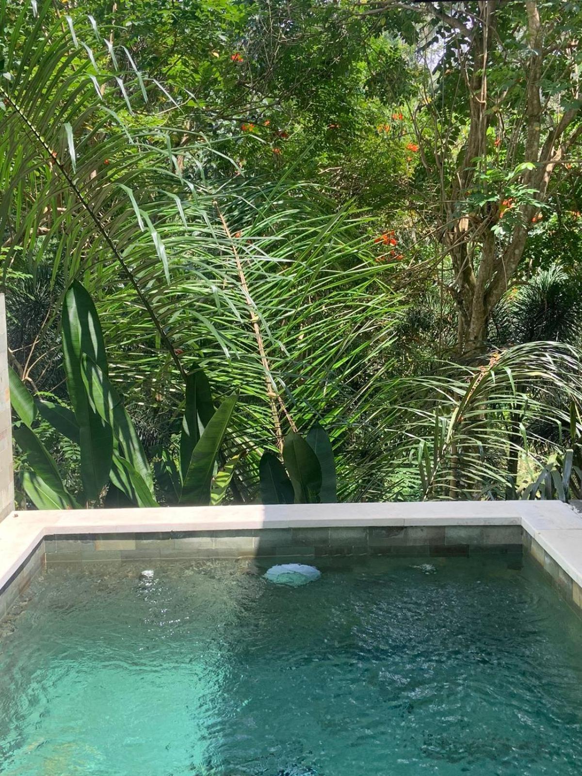 Ubud Hills Villas & Resort Tegallalang  Luaran gambar