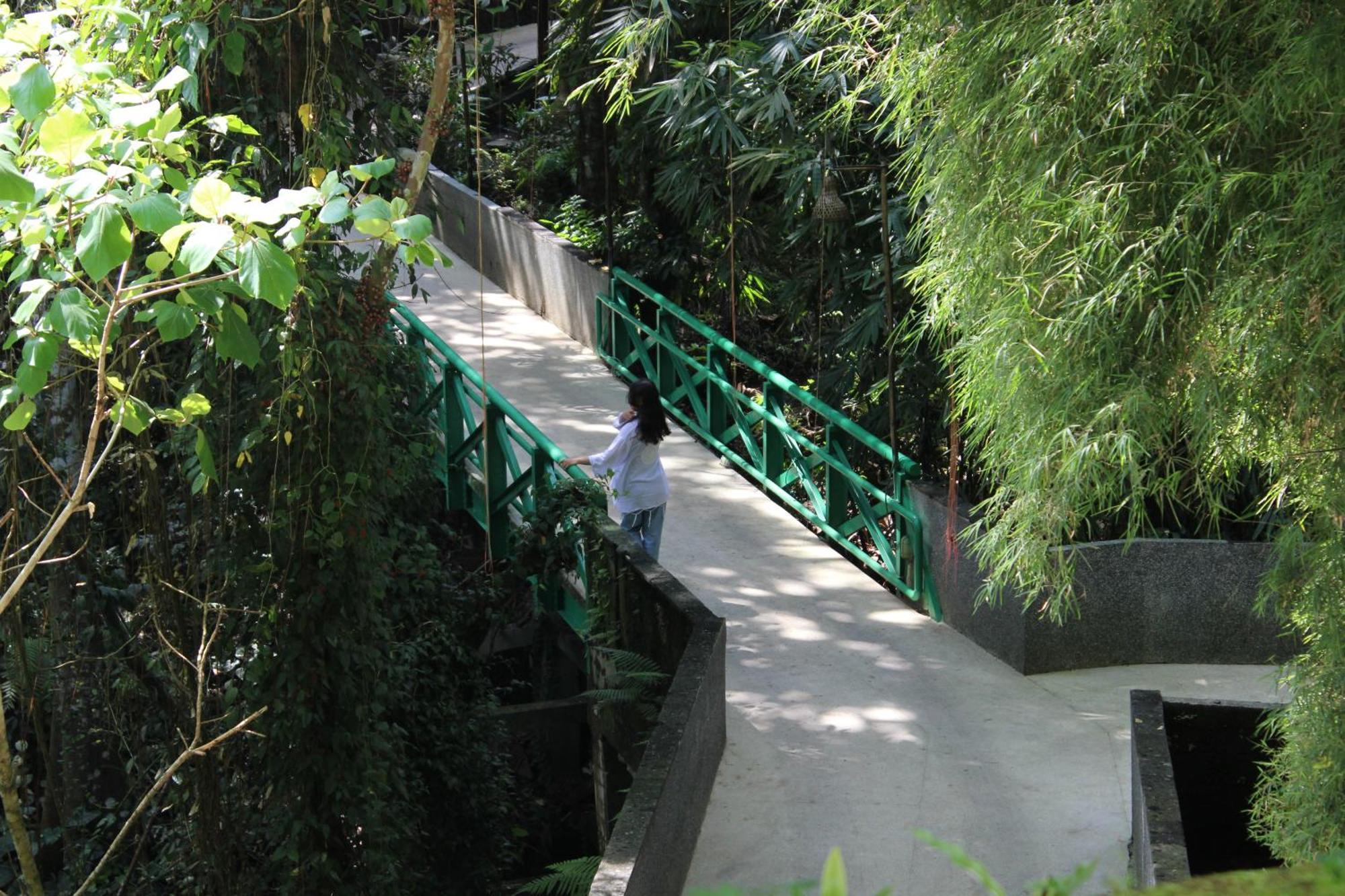 Ubud Hills Villas & Resort Tegallalang  Luaran gambar