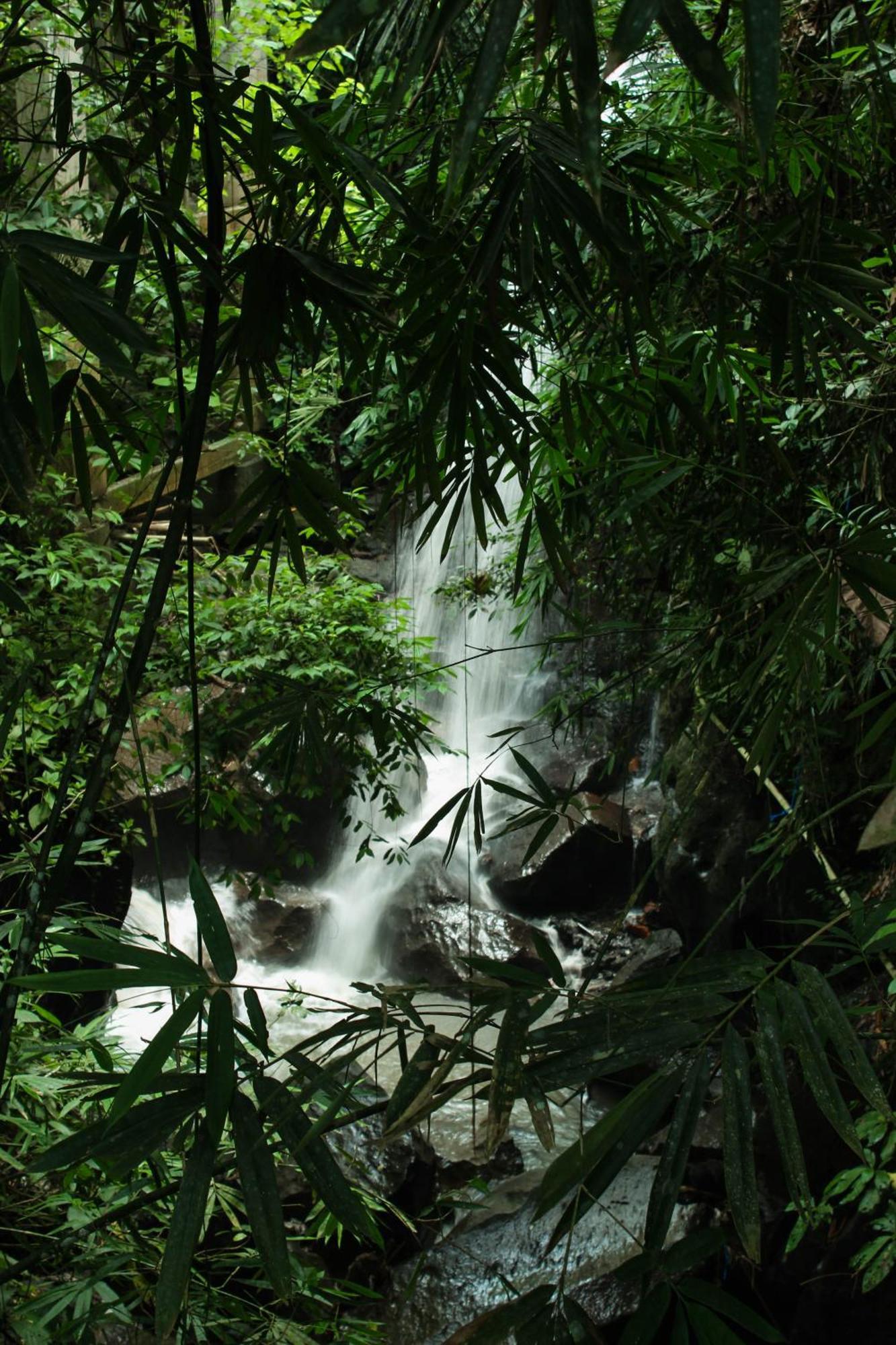 Ubud Hills Villas & Resort Tegallalang  Luaran gambar
