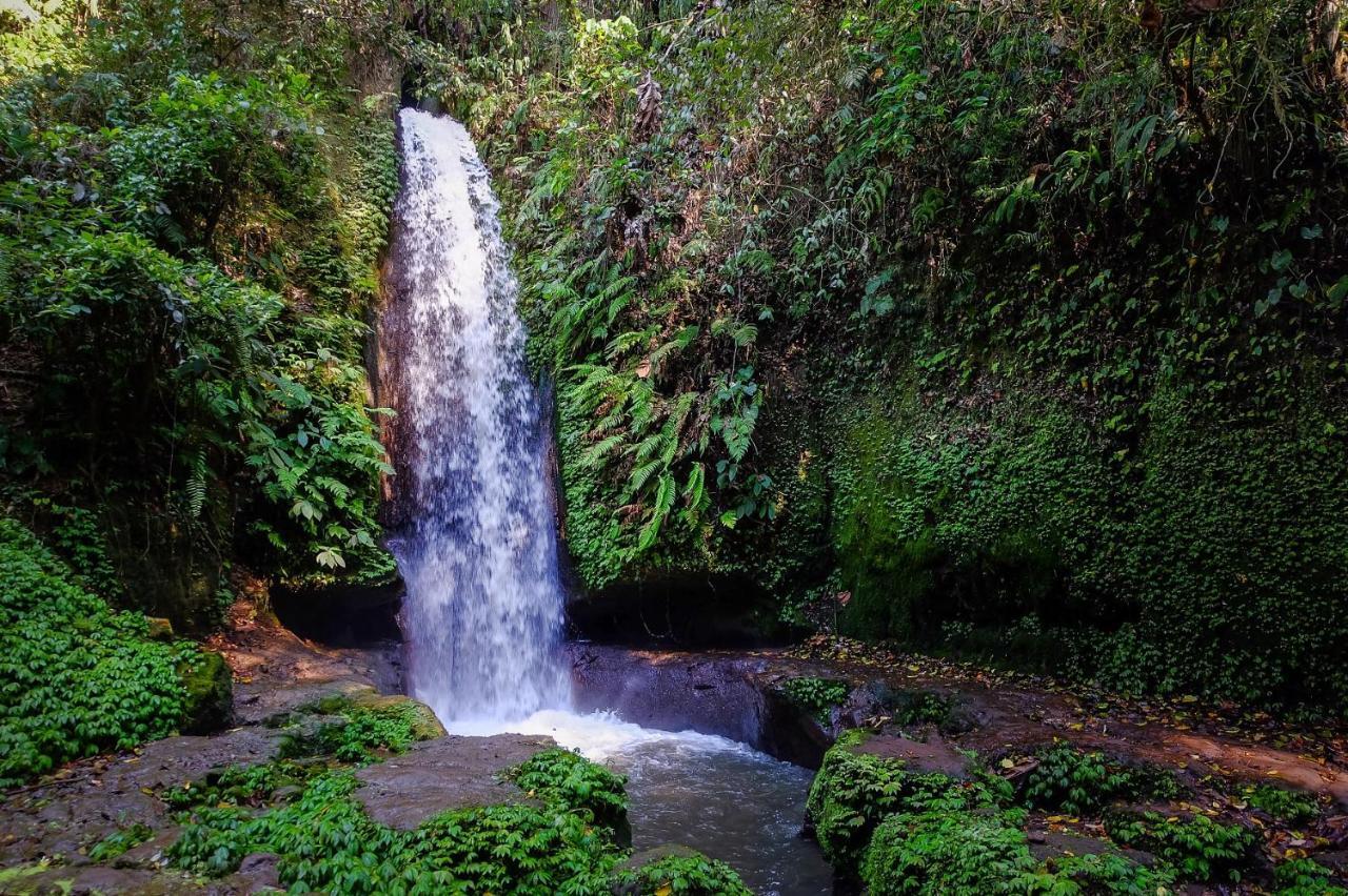 Ubud Hills Villas & Resort Tegallalang  Luaran gambar